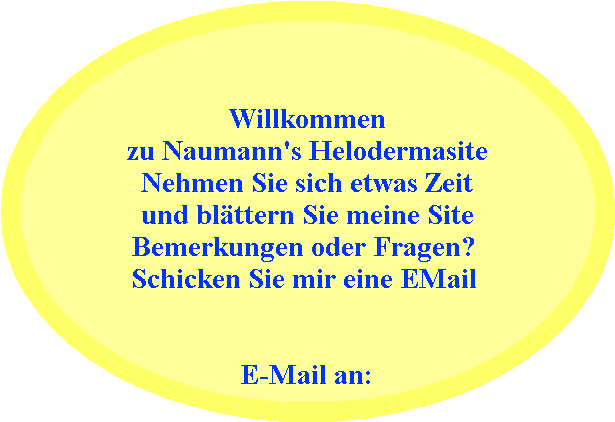 Willkommen  zu Naumann's Helodermasite  Nehmen Sie sich etwas Zeit  und blättern Sie meine Site  Bemerkungen oder Fragen?   Schicken Sie mir eine EMail       E-Mail an: