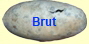 Brut