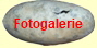 Fotogalerie