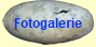 Fotogalerie